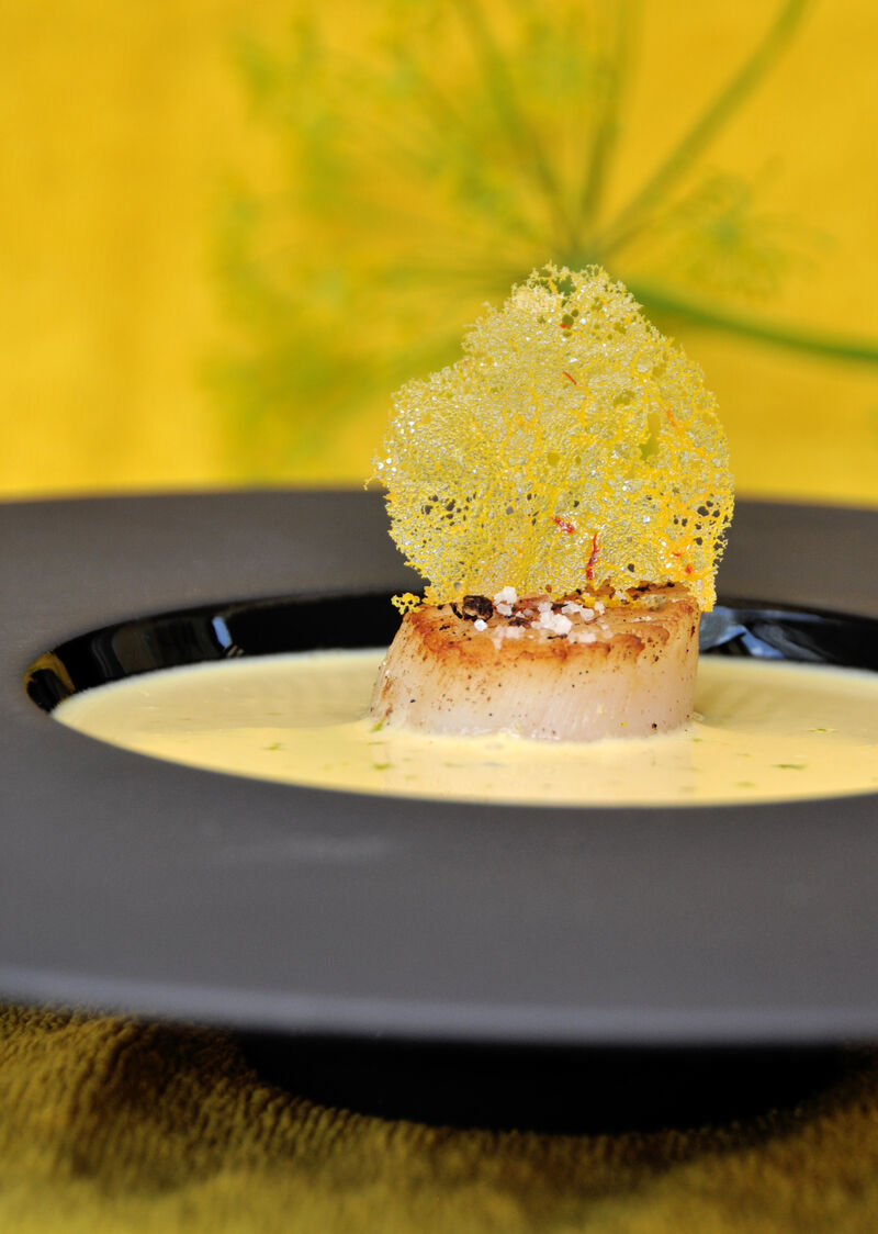 La noix de Saint-Jacques, ce bijou de l'océan, mérite toute l'attention du cuisinier...