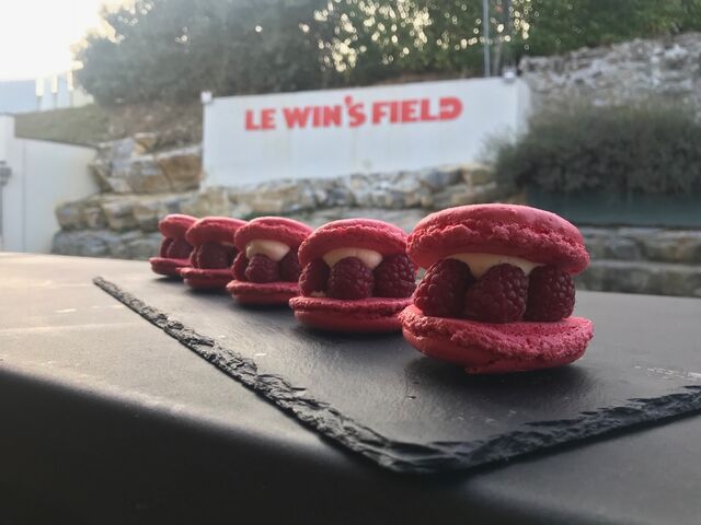 Macaron aux Framboises
