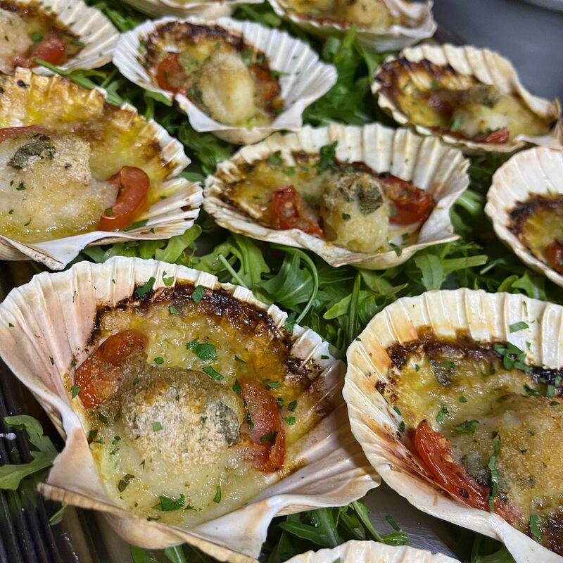 Vorspeise Fischplatte