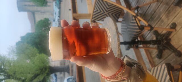 La queu de charrue bières ambrée Belge 