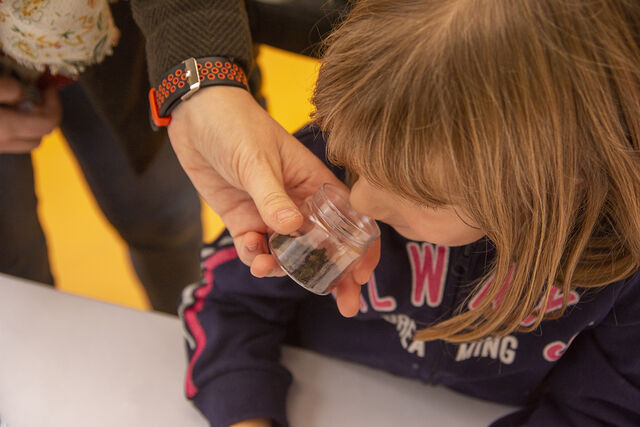 Taller de los aromas en La Galería del Jerez