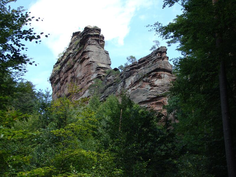 Top Wanderregion und Mountainbike-Region Pfälzerwald