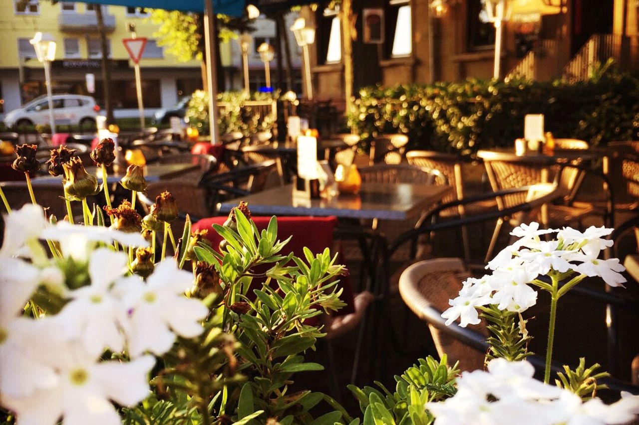 Café Galerie