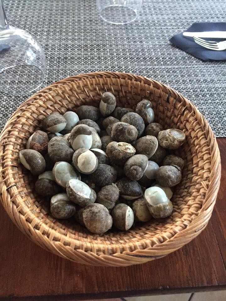 Moniceddri (lumache)