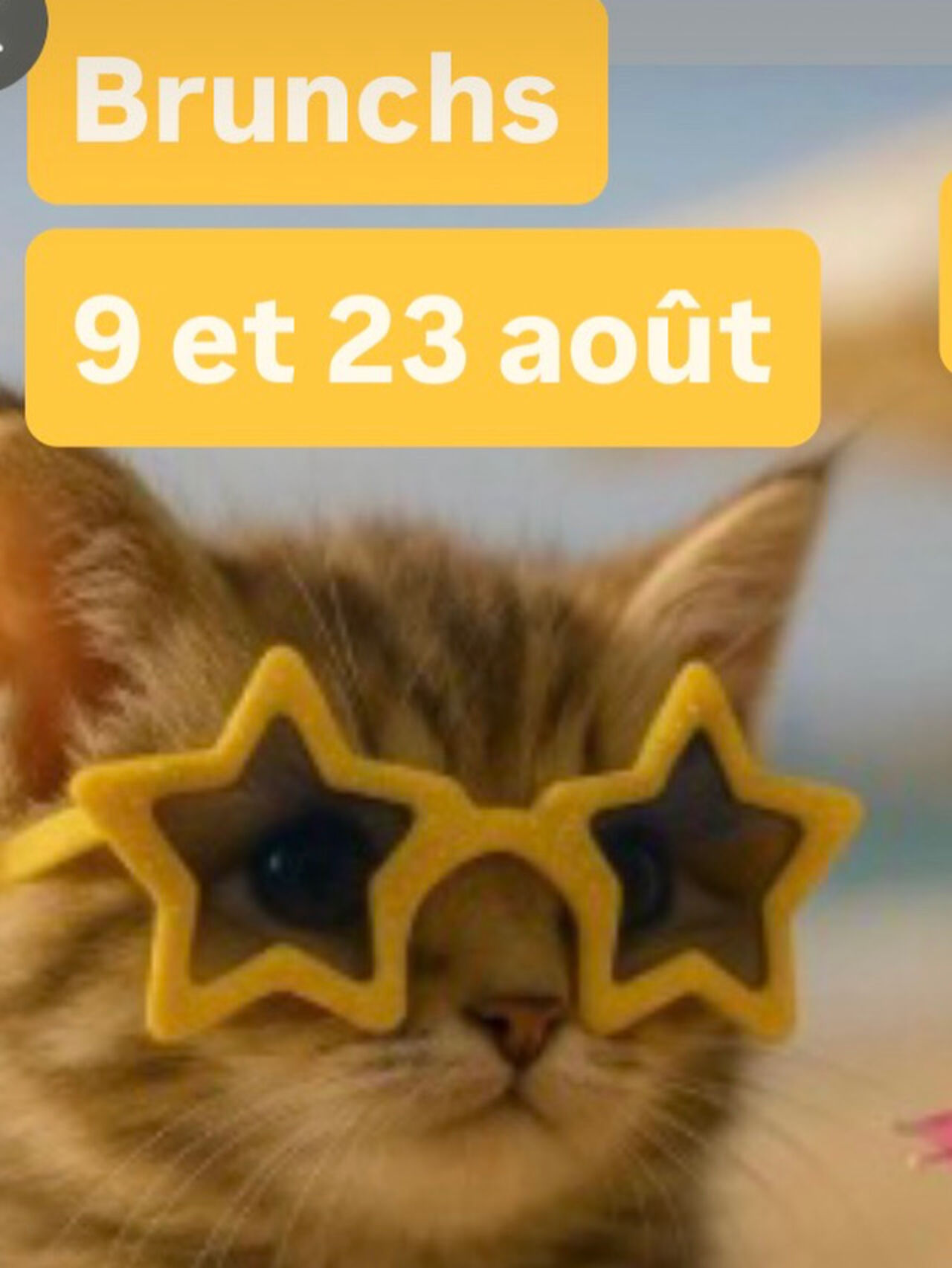 Brunch 9 et 23 août 22€