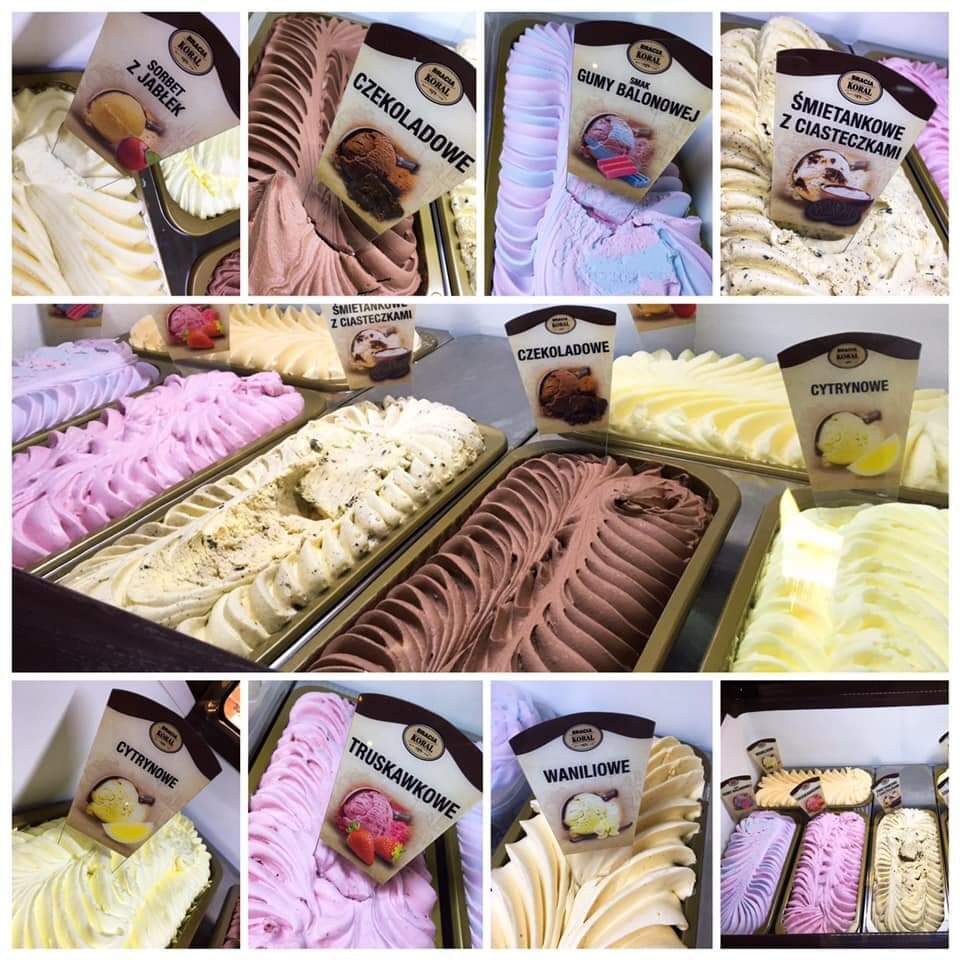 LODY GAŁKOWE KORAL JAK DAWNIEJ