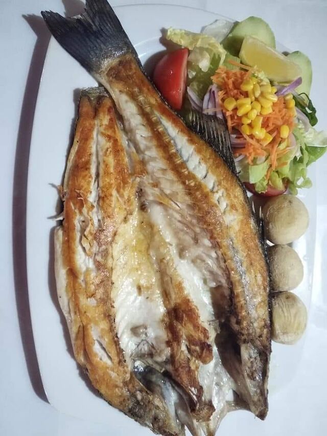 Pescado fresco del día