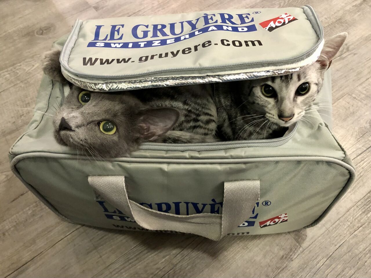 Comment se cacher au 