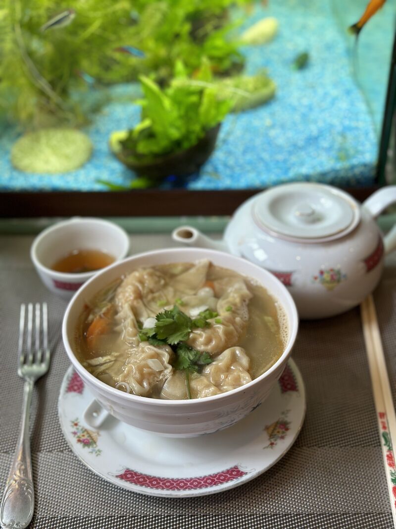 Wentun noodle soupe