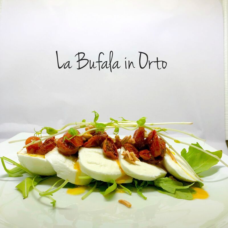 La Mozzarella di Bufala In Orto