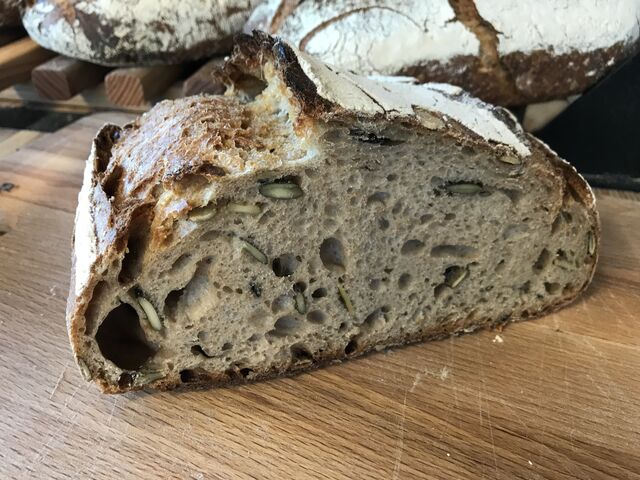 Campagne aux graines de courges