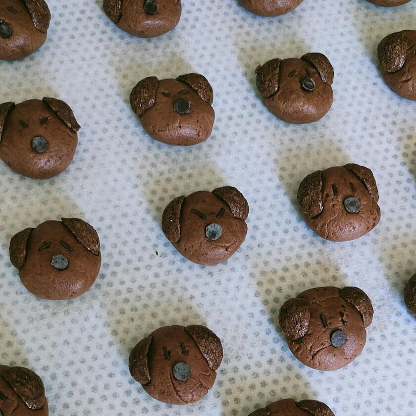 Biscuits tête de chien