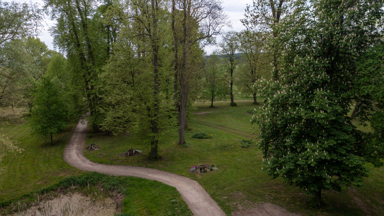 Foto by Lichtblicke Jula Welzk