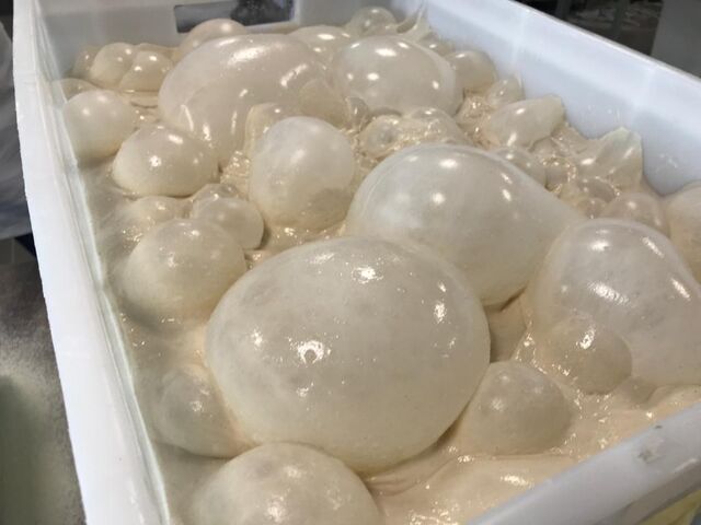 La Maturazione del nostro impasto…attrae al primo sguardo 