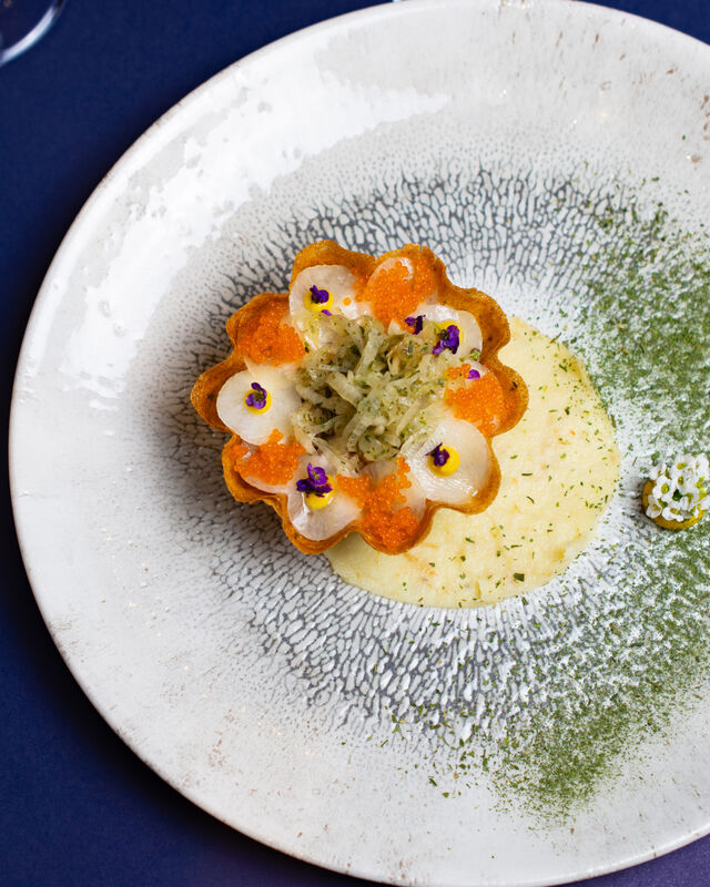 Brick saint-Jacques, canard et anguilles