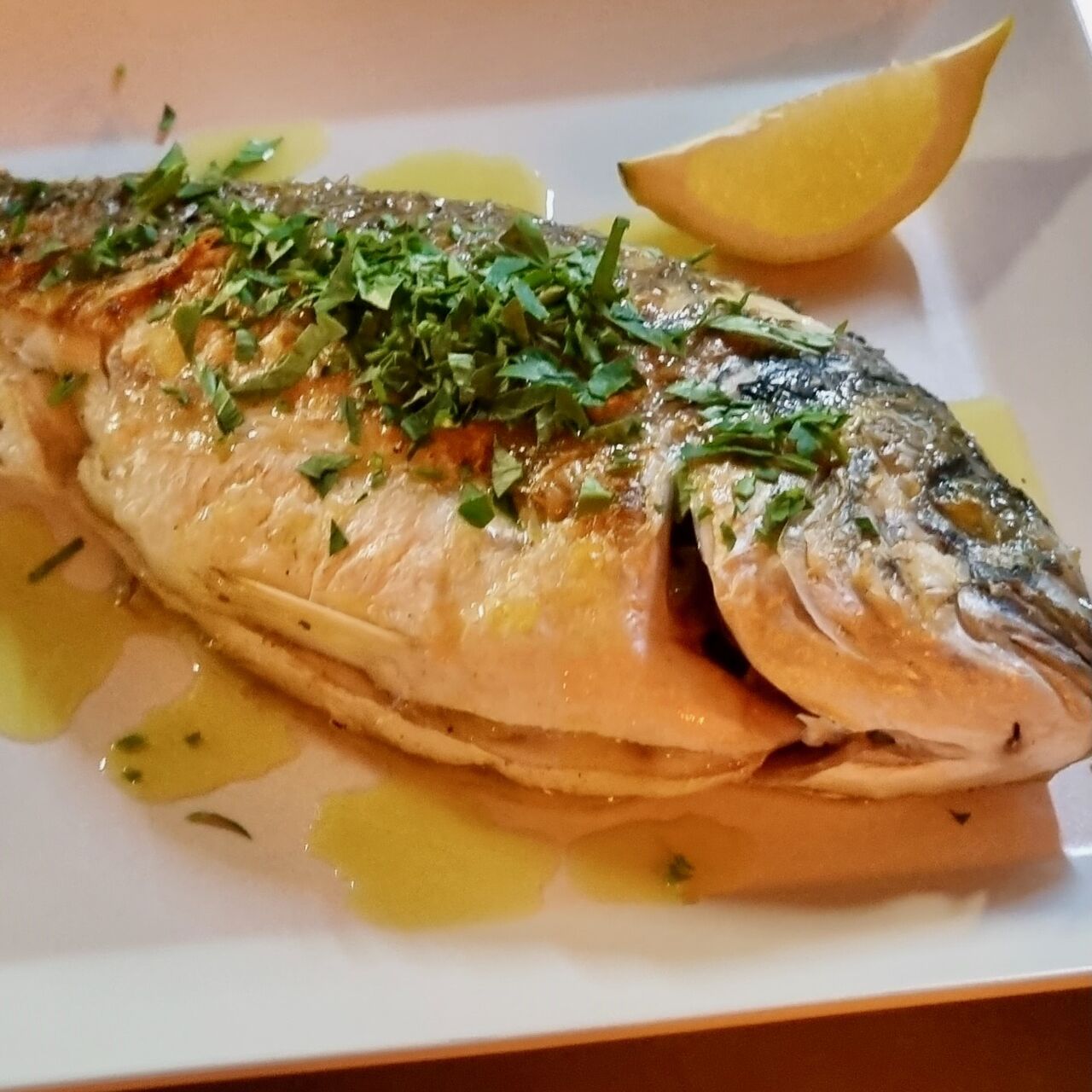 Dorade