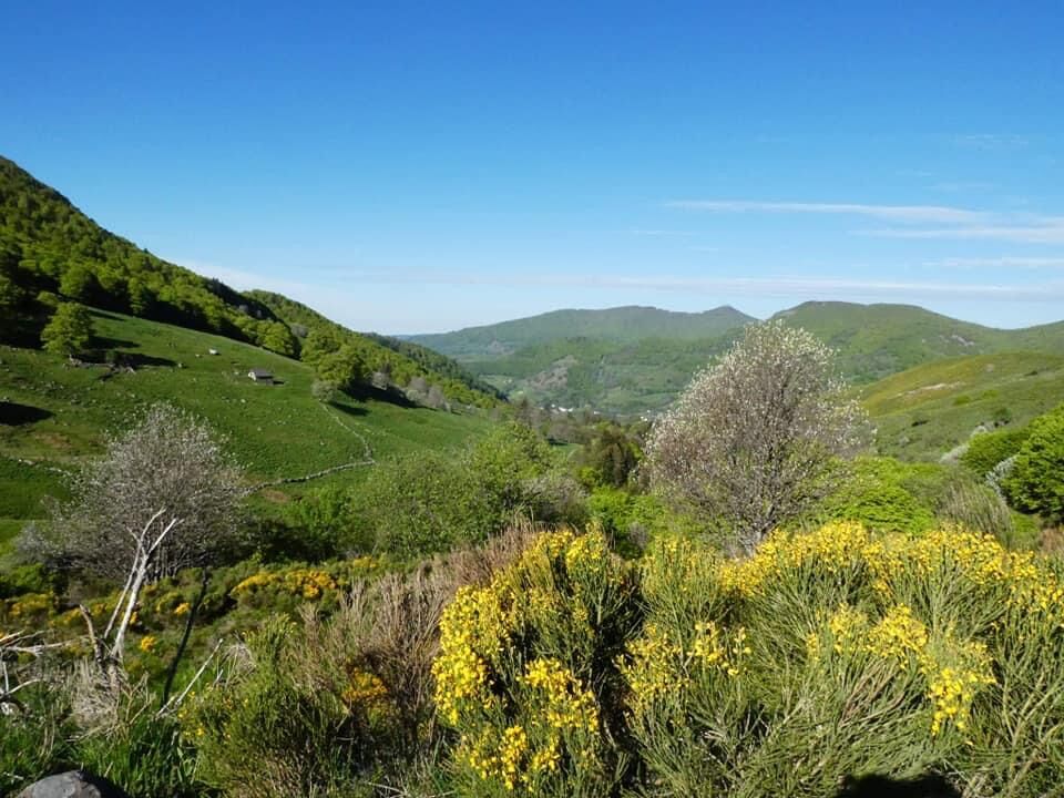Paysage de la région.