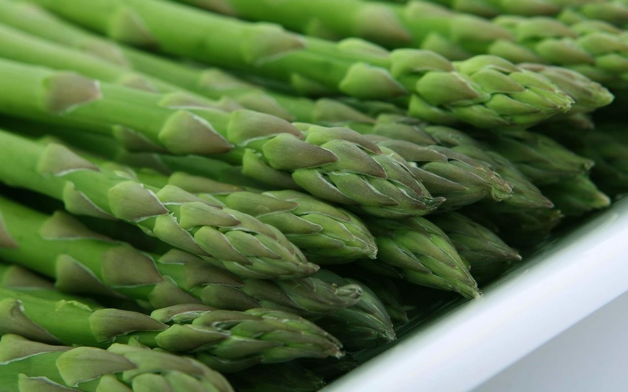 Ljekovita šparoga-Vrtna šparoga
lat. Asparagus officinalis