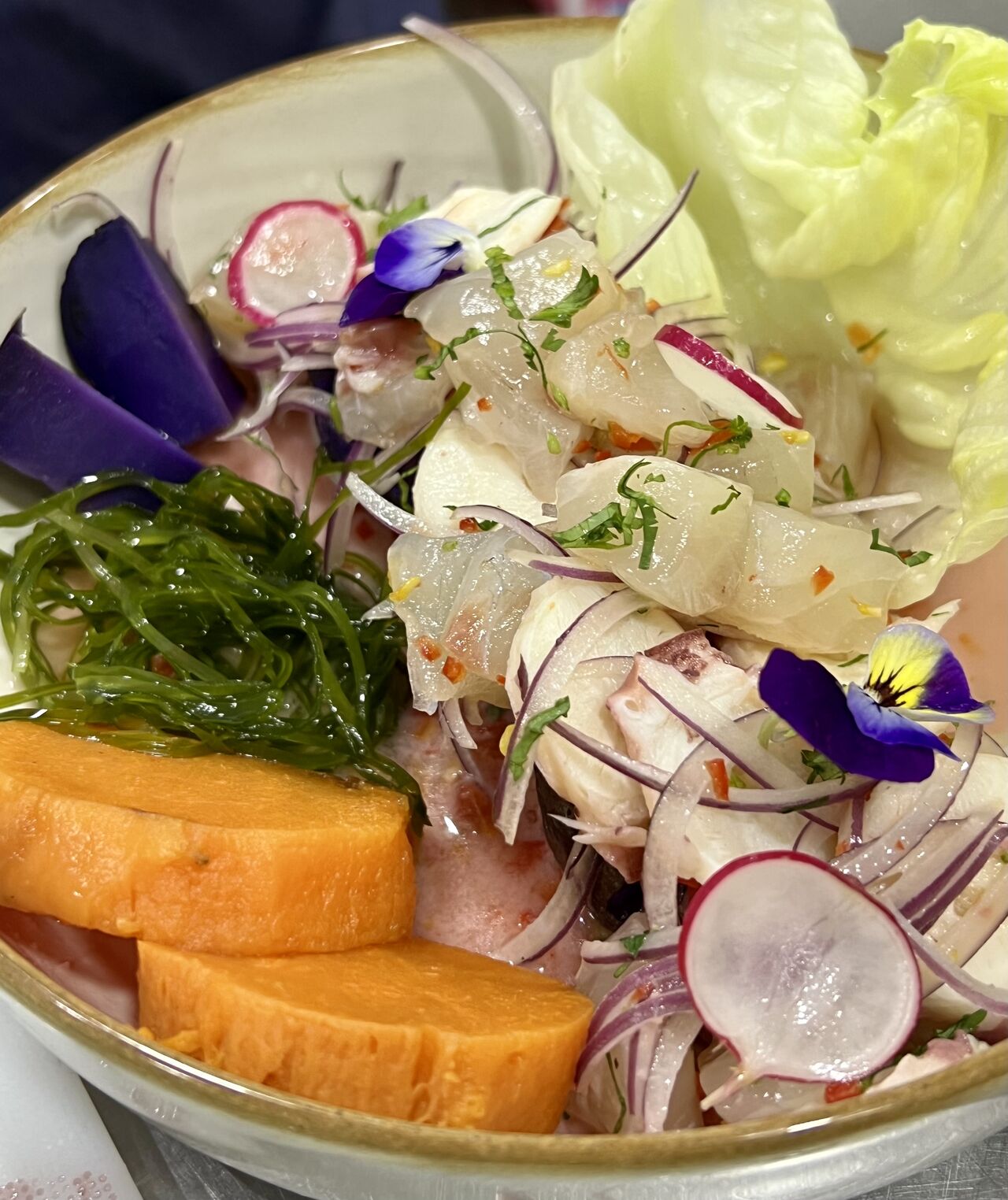 Ceviche Pulpo Dormido