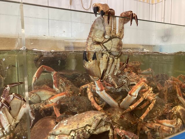 Notre vivier à crustacés pour vous proposer des crustacés vivants.