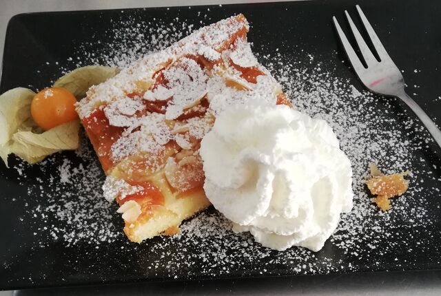 Marillenkuchen mit Schlagobers