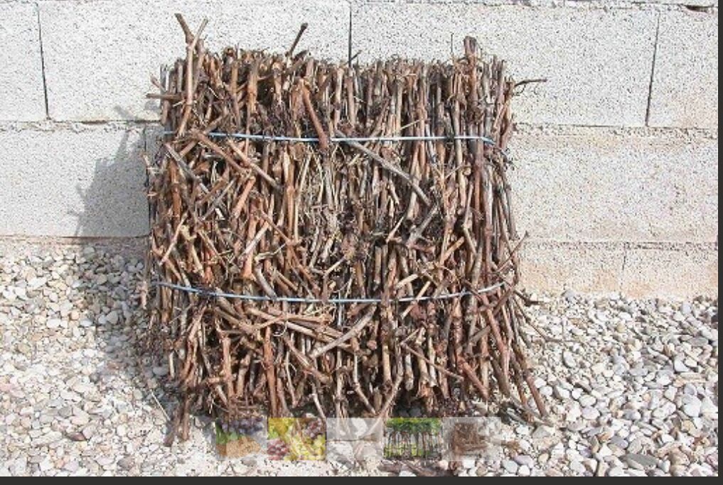 FAGOTS DE SARMENTS DE VIGNE