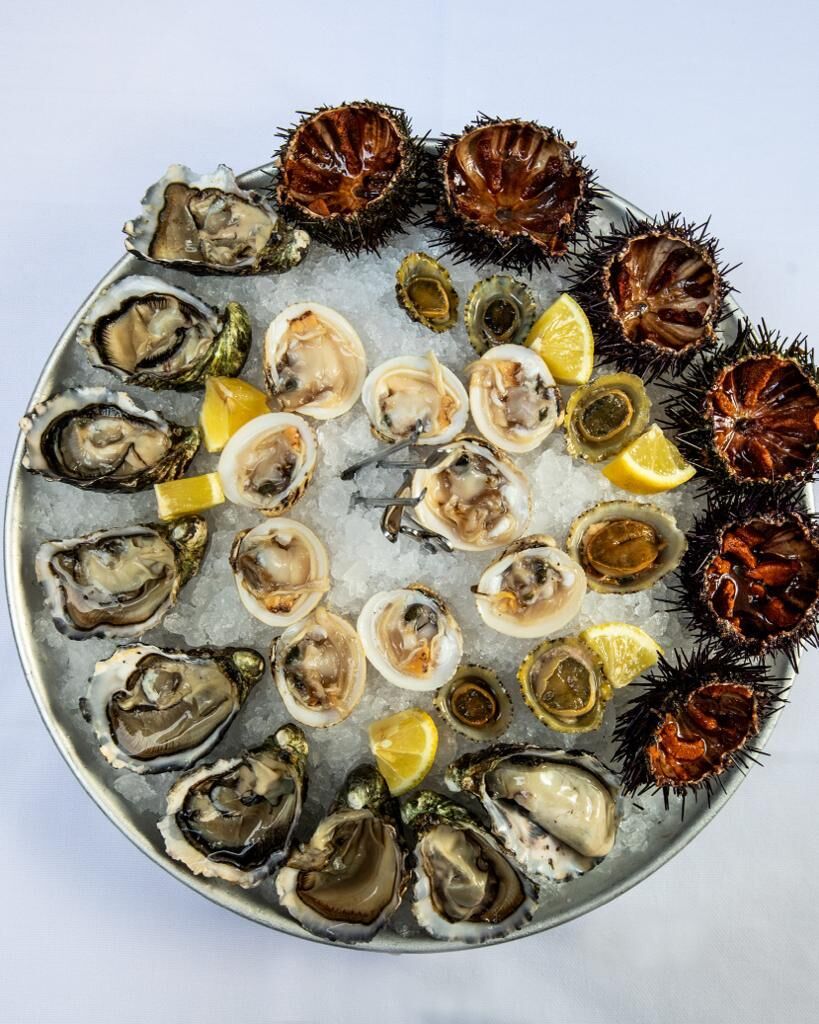 OSTRICHE E RICCI DI MARE 