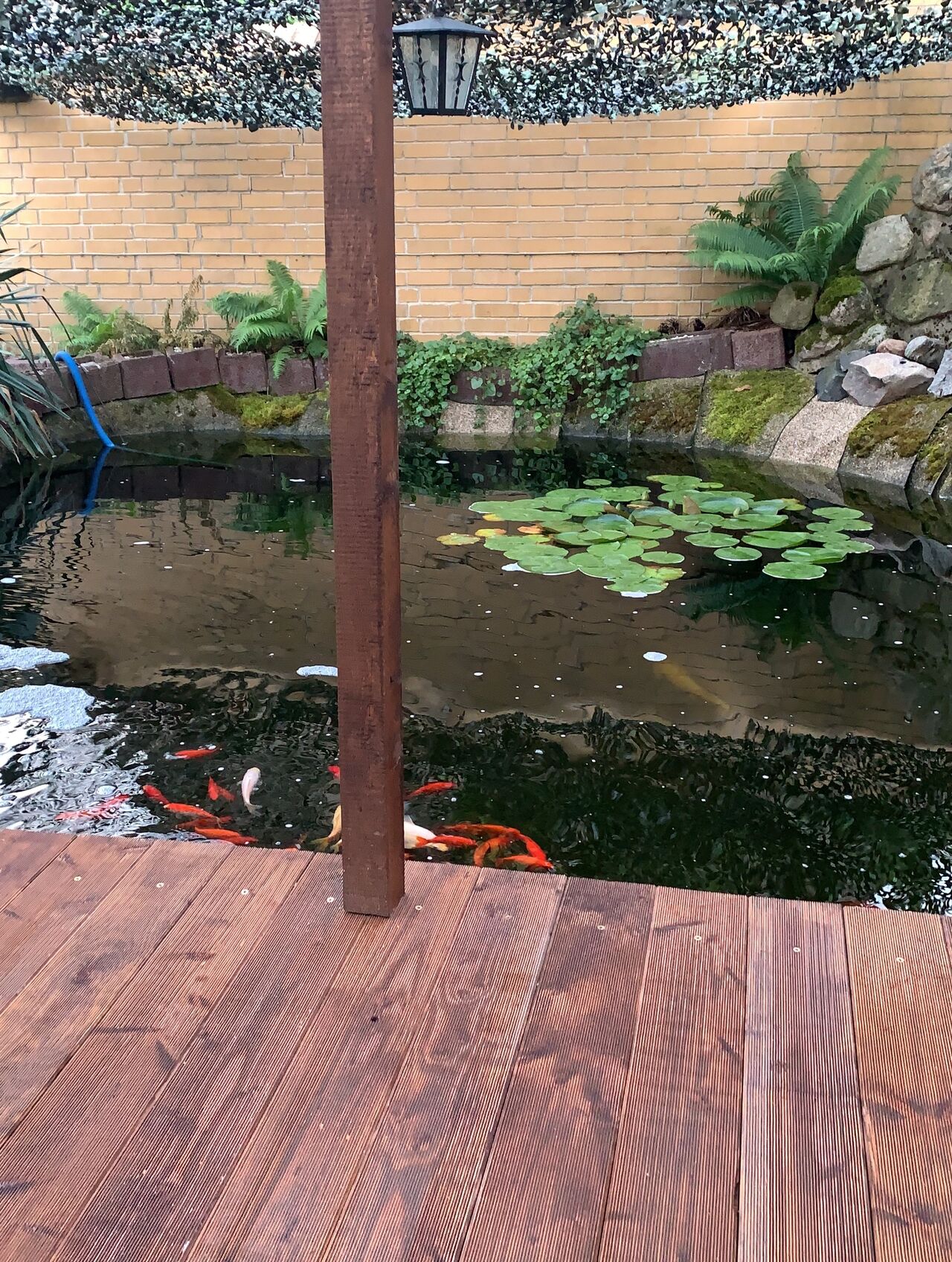 Gartenteich zum relaxen