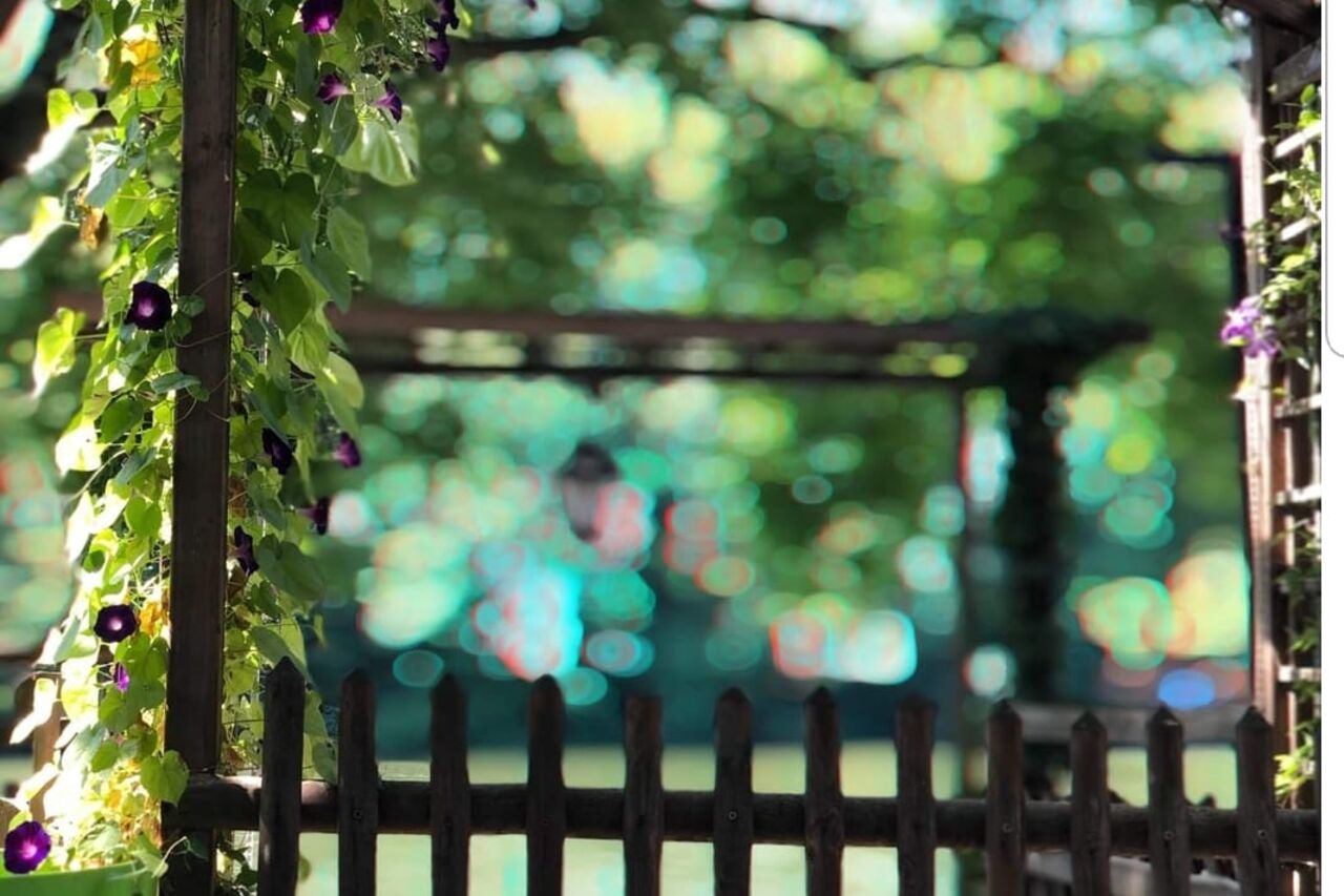 Saumon fumé maison Noël 2025