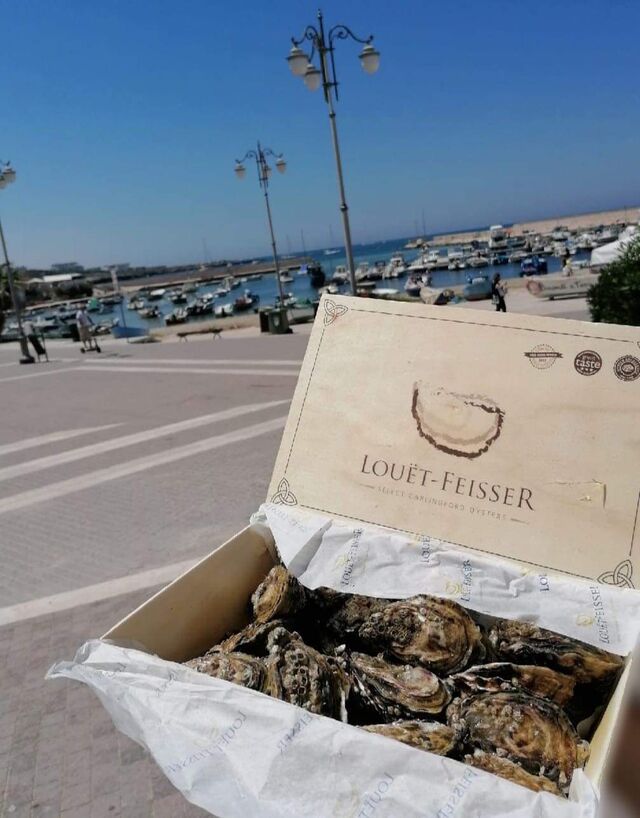 OSTRICHE IRLANDESI DI CARLINGFORD