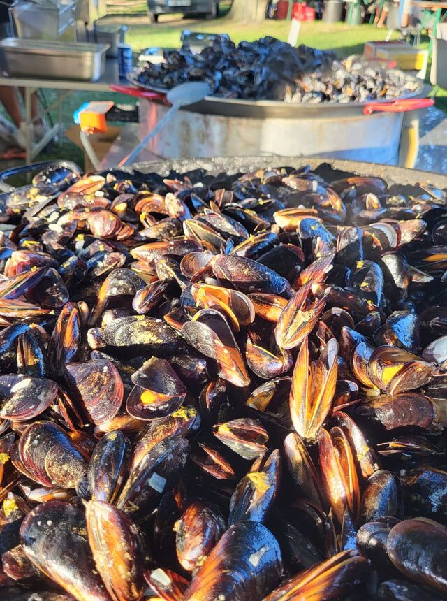 Moules Marinières ou Roquefort ou Curry avec des frites à 12€ la part