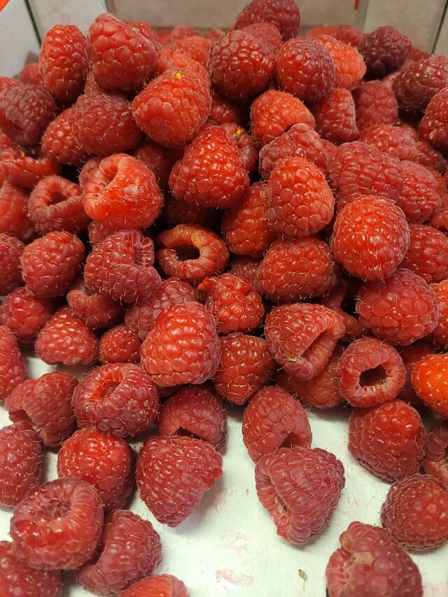 FRUITS DE SAISON ET PRODUITS FRAIS