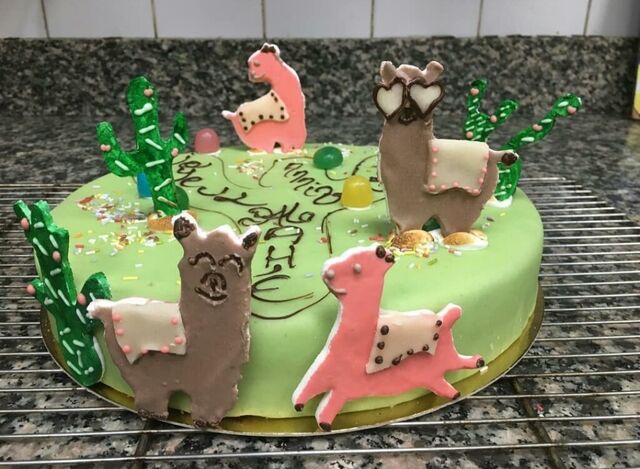 Cadix : mousse chocolat praline feuilleté