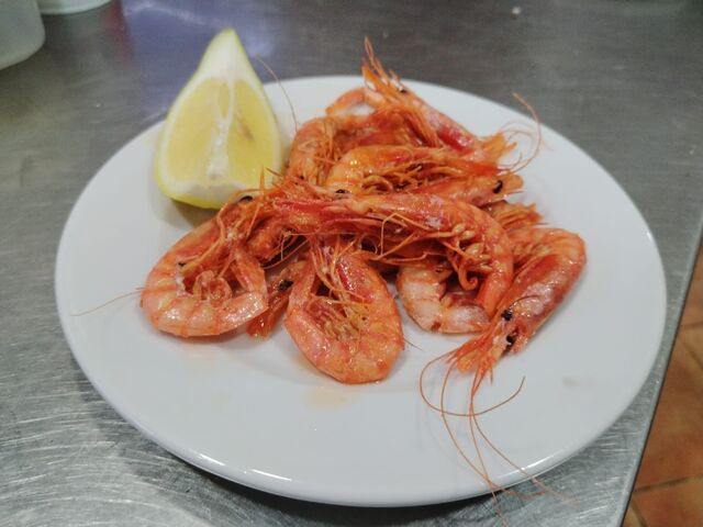 Gamba Alistada