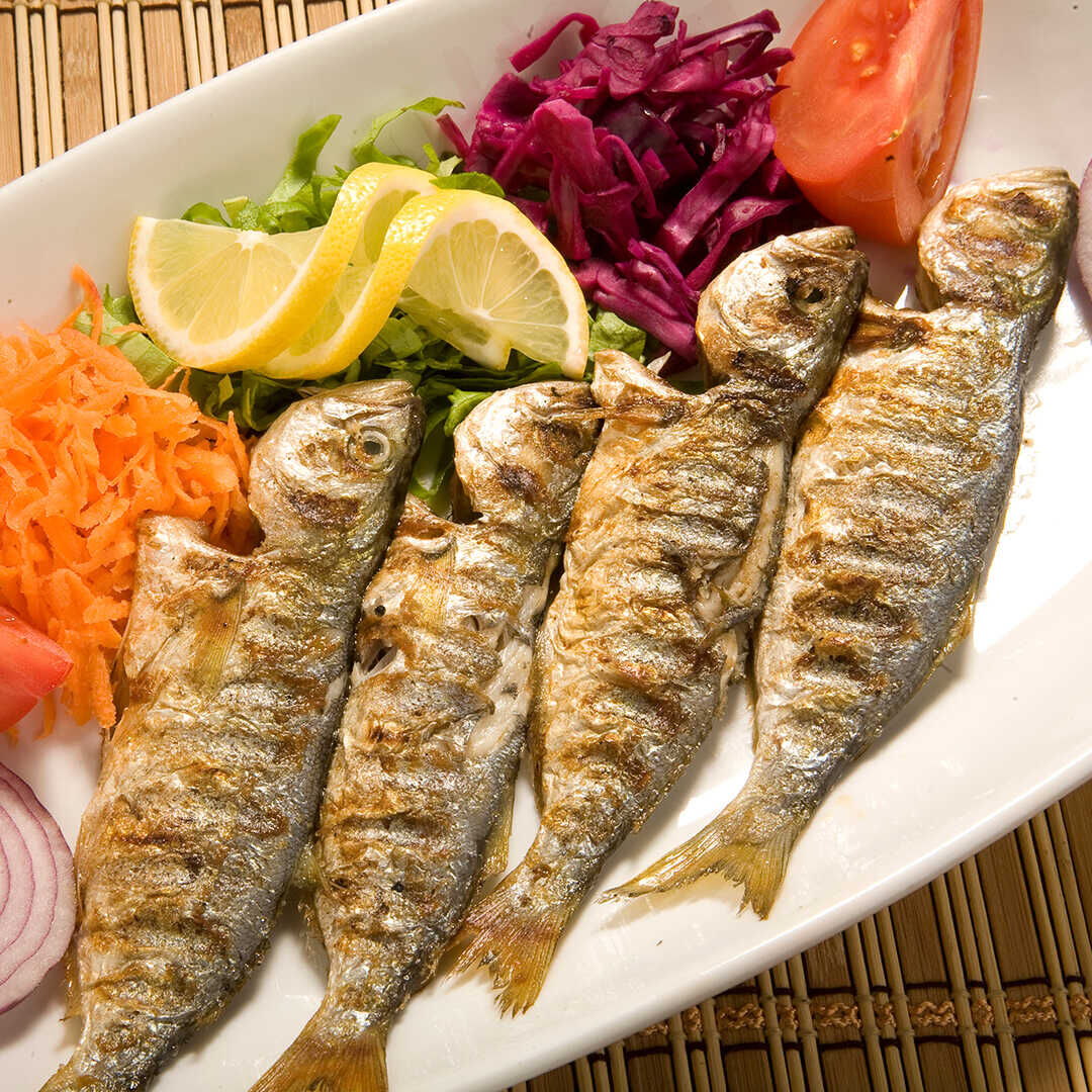 sarıkanat ızgara