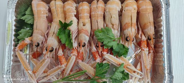Scampi crudi 