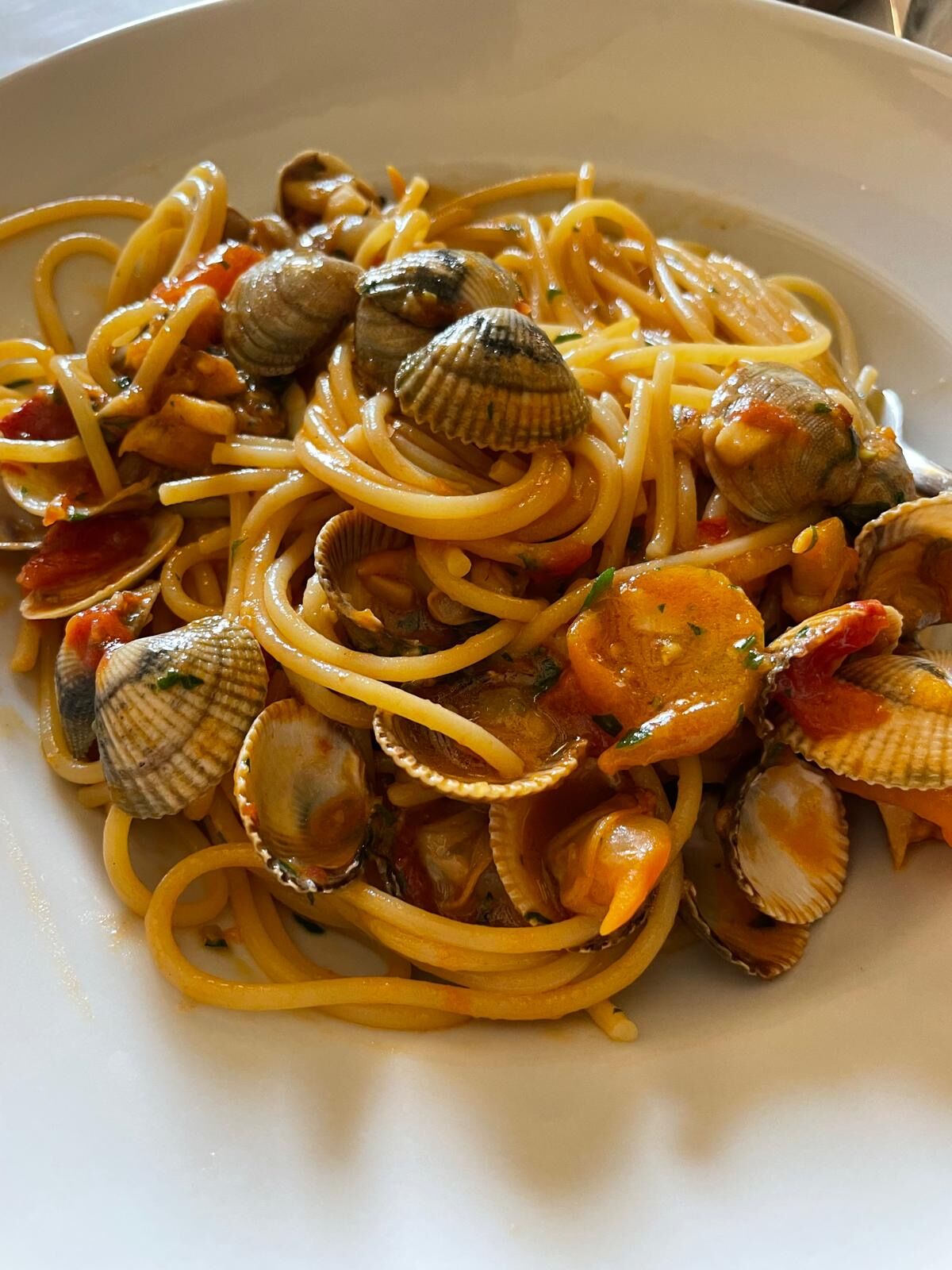 Platos - Speisen - Dishes