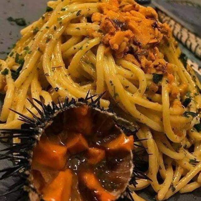Spaghettoni alla polpa di riccio