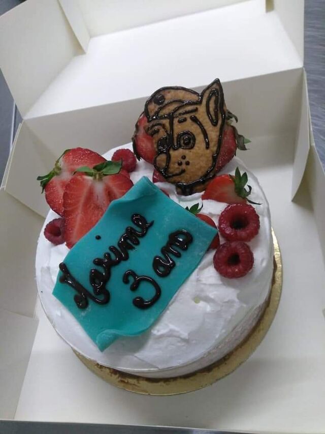 Framboisier thème patpatrouille