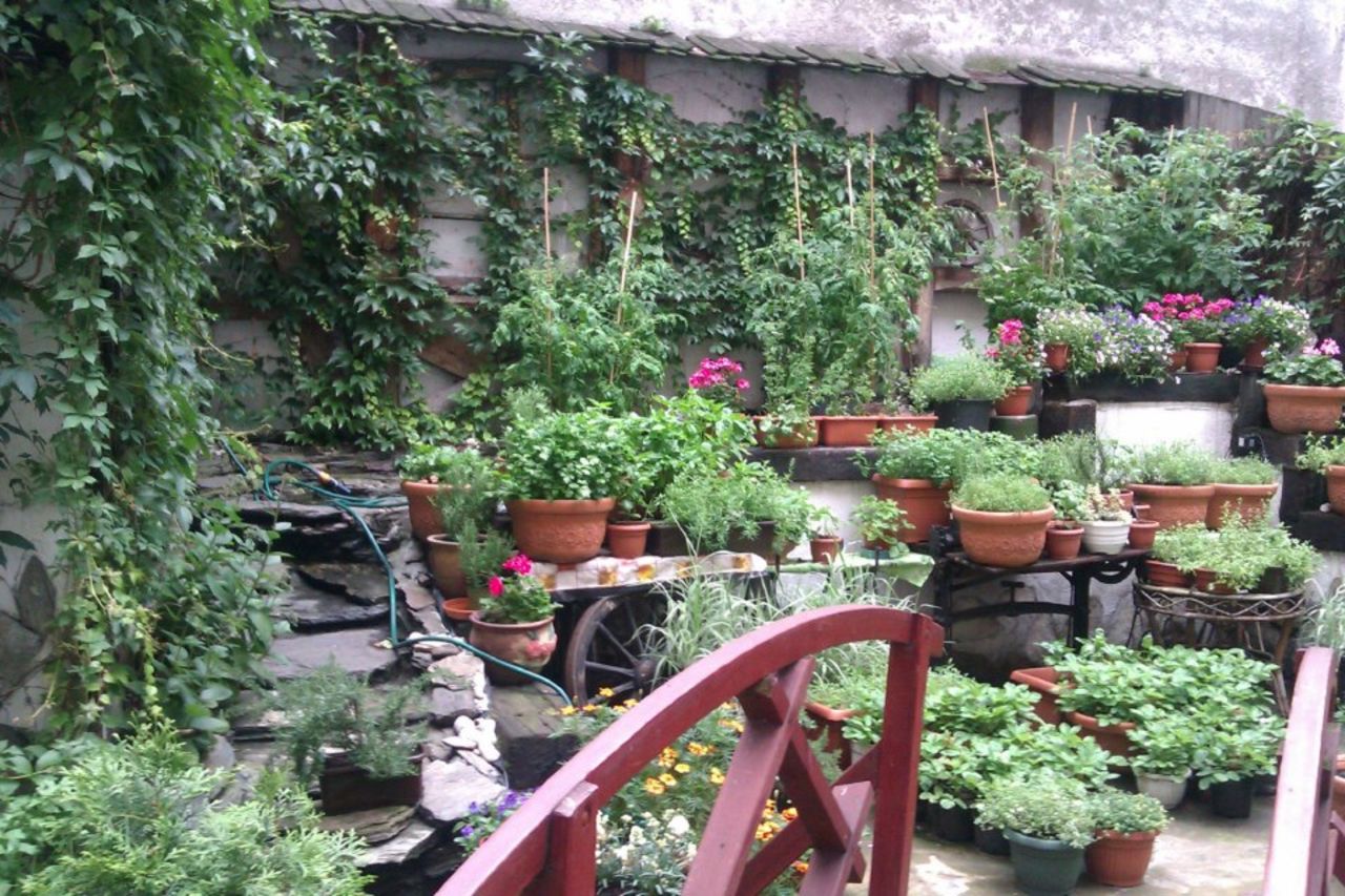 Oberża pod Dzwonkiem