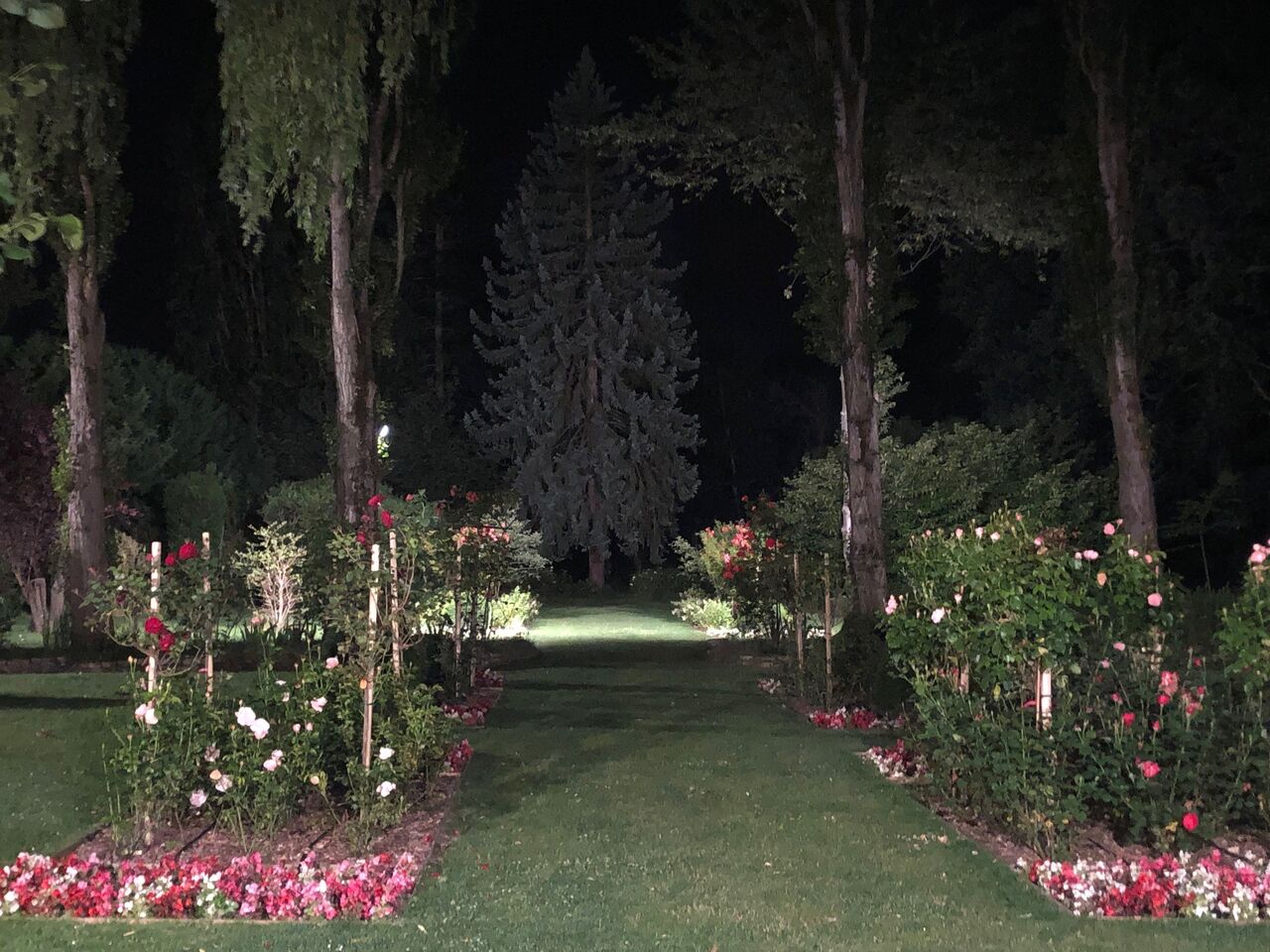 jardin