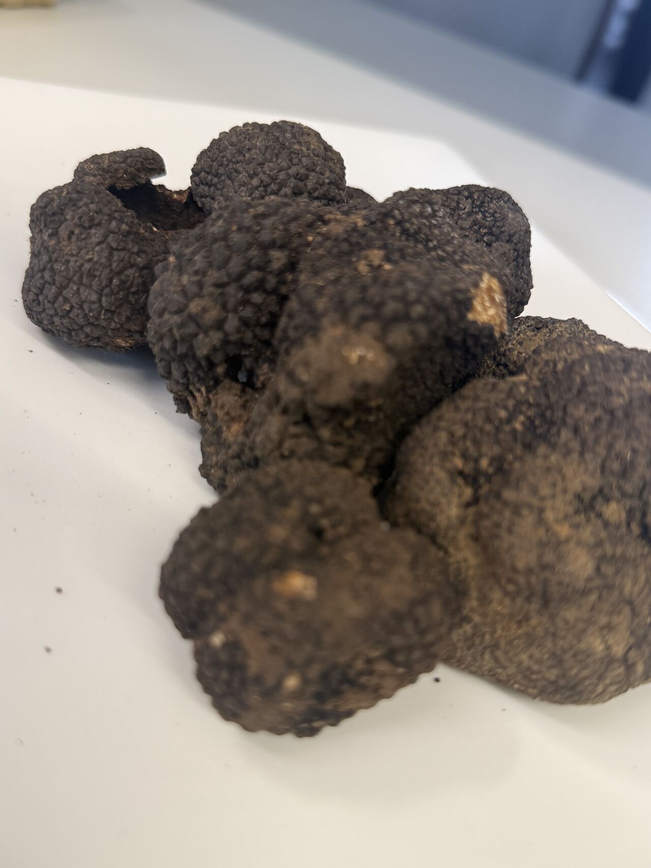 Tartufo nero