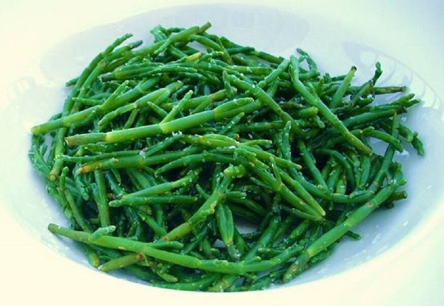 Deniz Börülcesi - Glasswort