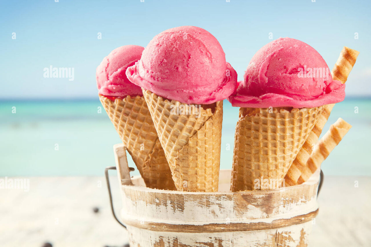 Aus Bio-Frischmilch und Sonne wird Eis