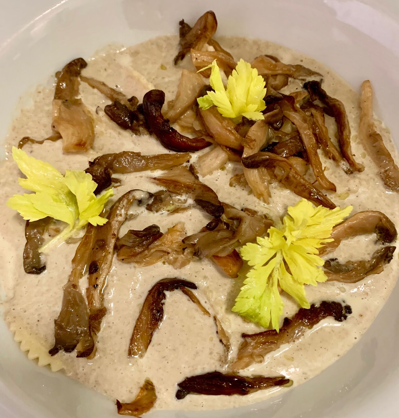 Ravioles de bolets à la crème de pleurotes et pleurotes sautées