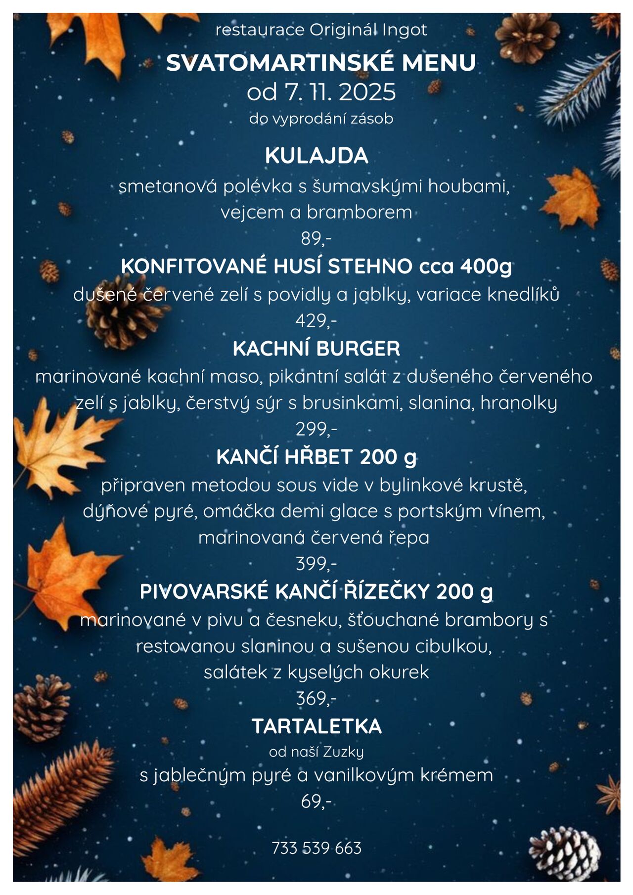 SVATOMARTINSKÁ NABÍDKA