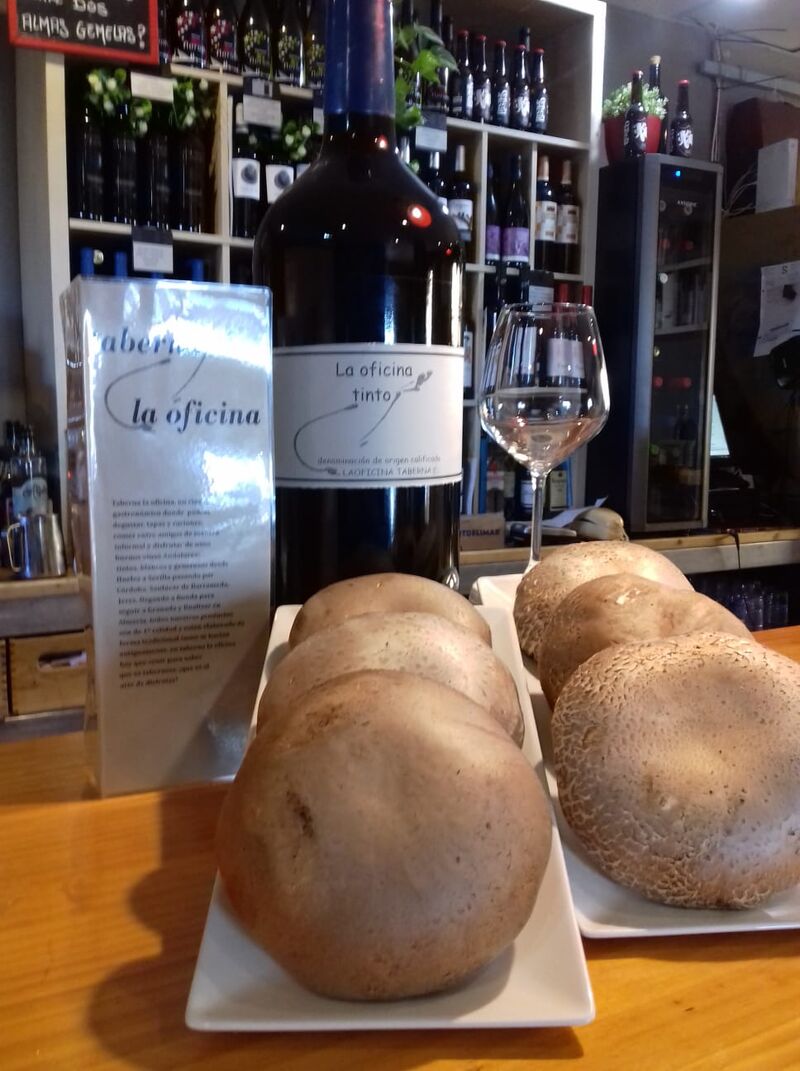 setas portobello gigantes