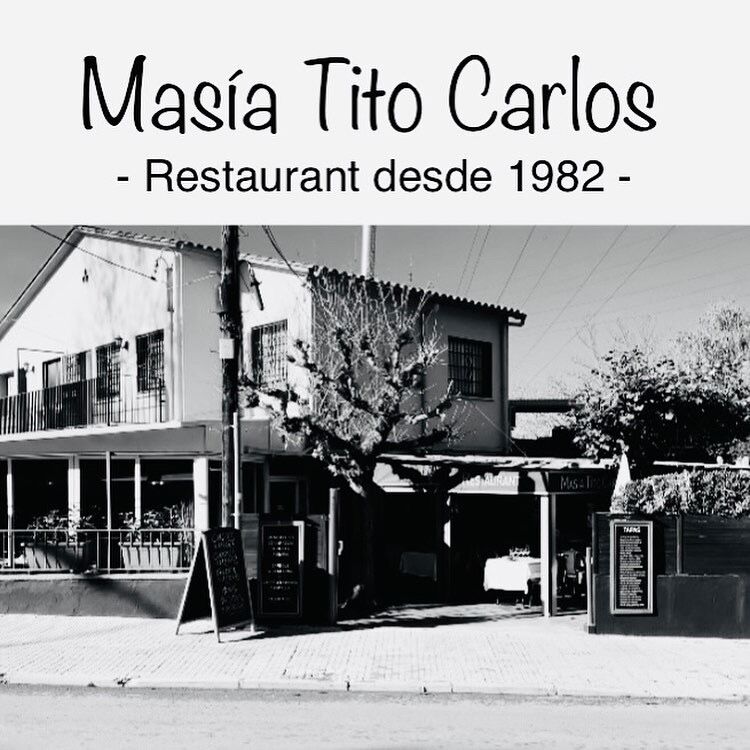 HISTORIA DE LA MASIA