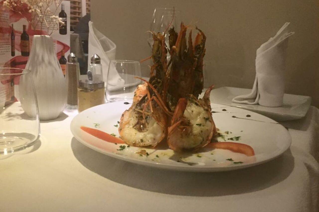 Gambas sauvages