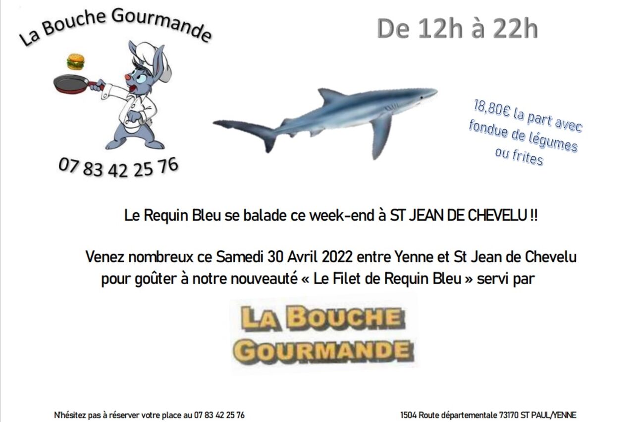 REQUIN BLEU